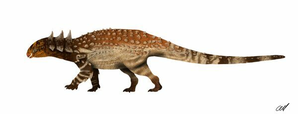 An artist's rendering of Sauropelta, by Sphenaphinae (Creative Commons License)